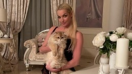 Все праздники одна: Волочкова встретила 8 Марта в компании кота и домработницы