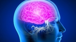 Иммунолог назвал катастрофические последствия для мозга после COVID-19