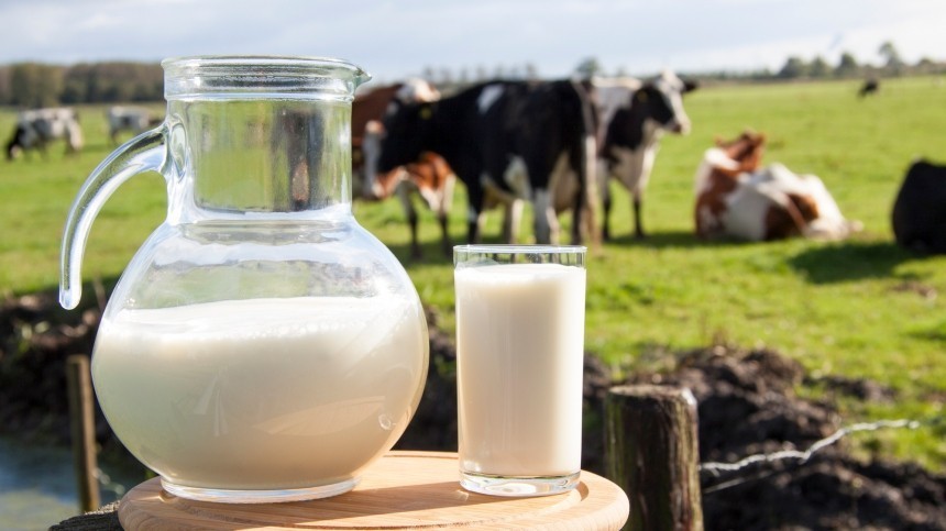 Не пейте, будете здоровы: коровье молоко может ускорить рассеянный склероз
