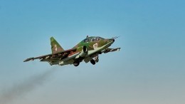 Минобороны: Авиация ВКС РФ поразила 187 объектов ВСУ за сутки