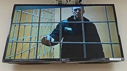 Обвинение просит приговорить Навального к 13 годам колонии