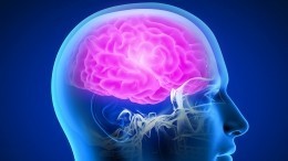 Какие симптомы указывают на образование тромба в мозге