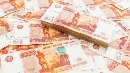 На поддержку граждан и борьбу с безработицей в России выделили 550 млрд рублей