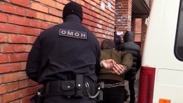 Сторонников украинской группировки «МКУ» задержали в 23 регионах России