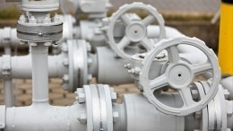 Австрия назвала невозможным отказ от российского газа в 2022 году