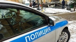 Очевидцы сообщили о похищении ребенка в центре Петербурга