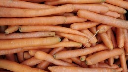«Морковка-убийца»: какую опасность для здоровья таит популярный овощ