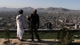 Варианты есть! Как может зарабатывать Афганистан после запрета на выращивание мака