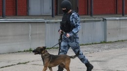 В Курской области с 11 апреля вводится желтый уровень террористической опасности
