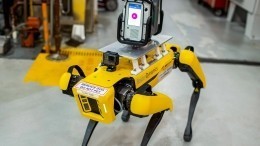 В Шанхае роботов-собак привлекли к контролю за соблюдением антиковидных мер