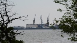 МО РФ: Морской торговый порт Мариуполя полностью освобожден от «Азова»*