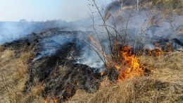 Пламя уничтожило несколько жилых домов в Кемеровской области