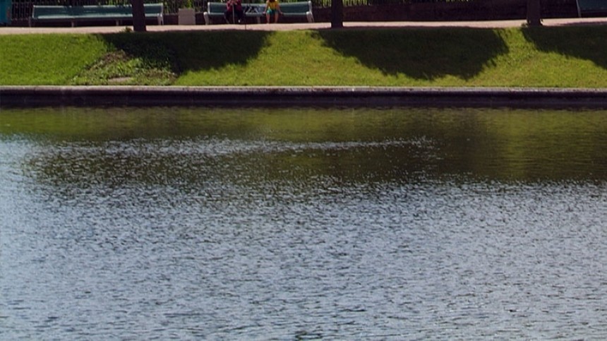 Тело без части головы нашли в пруду петербургского парка