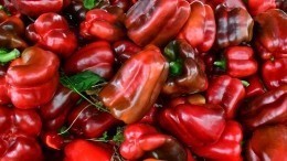 Роспотребнадзор снял ограничения на ввоз фруктов и овощей из Турции