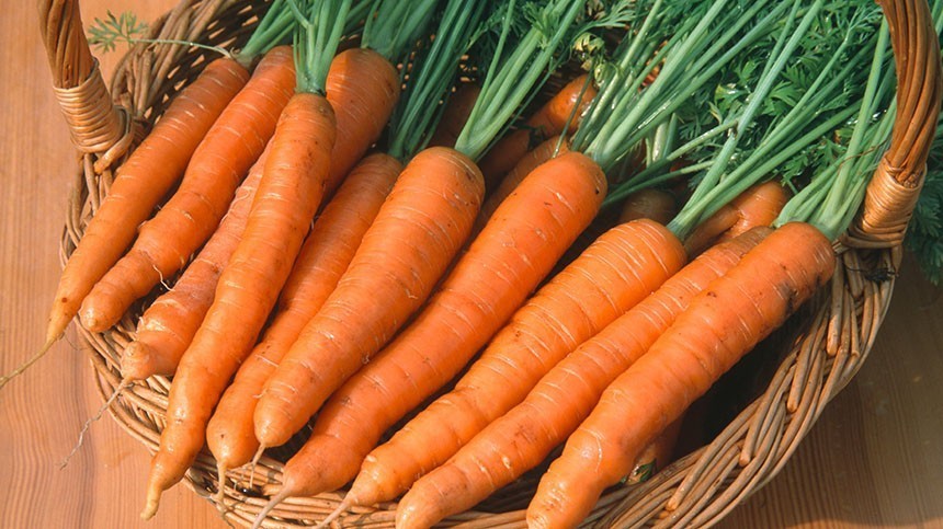 Названа морковь, от которой стоит держаться подальше