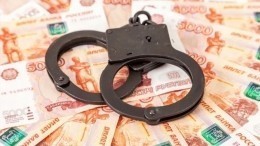 ЦБ РФ даст банкам 30 дней на возврат украденных мошенниками у клиентов денег
