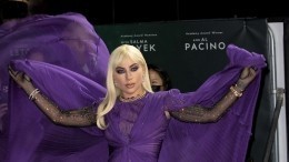 Экс-супруг Бородиной назвал виноватых в том, что Леди Гага оскорбила россиян
