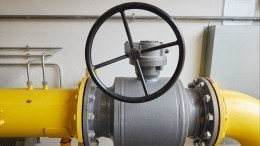 Чехия объявила о намерении платить за российский газ только в евро
