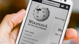 Что известно о платформе, которая может заменить в России «Википедию»
