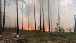 Природные пожары вплотную подошли к населенным пунктам в Тюменской области