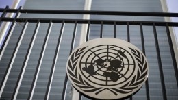 Французская журналистка представила ООН свидетельства издевательств «Азова»*