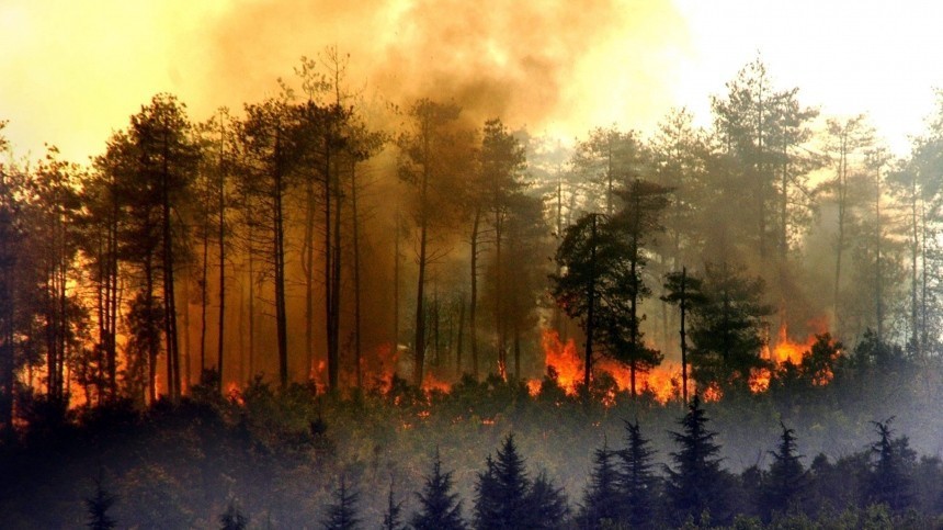 «Армагеддон»: лесные пожары с песчаными бурями обрушились на регионы России