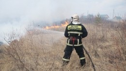 При тушении лесного пожара в Приморье погиб спасатель