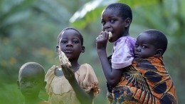 Экономист рассказал, каким странам грозит голод в результате кризиса