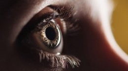 Ученые из США заставили человеческий глаз «видеть» после смерти