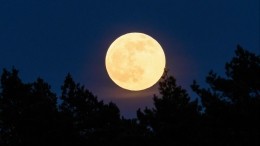 Эмоциональные качели: что сулят 14-е лунные сутки всем знакам зодиака