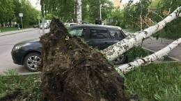 Ураган в Центральной части России срывал крыши с домов и переворачивал остановки