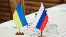 Путин заявил Ниинисте о фактической приостановке переговоров с Украиной