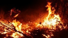 Поймали по горящим следам: кто виноват в смертельных сибирских пожарах
