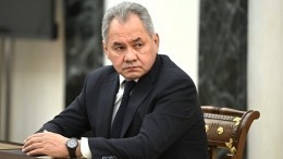 Глава Пентагона передал министру обороны Украины содержание разговора с Шойгу