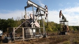Германия откажется от российской нефти уже до конца текущего года