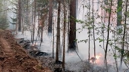 Как спички: лесные пожары в Иркутской области уничтожают дачи