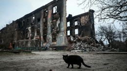 Правительство создало штаб по восстановлению освобожденных территорий Украины