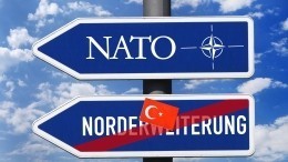 Глава Ближневосточного форума призвал изгнать Турцию из НАТО: «Скатертью дорога»