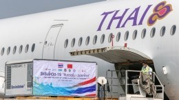 Россия и Таиланд готовы возобновить прямое авиасообщение