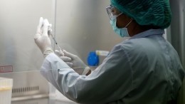 В ЕС готовятся вакцинировать население против обезьяньей оспы