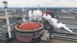 Песков заявил о контактах с МАГАТЭ по вопросу Запорожской АЭС