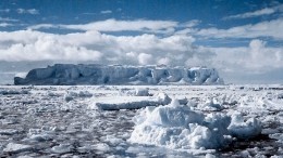 Страшнее коронавируса: в Антарктике обнаружены суперустойчивые бактерии
