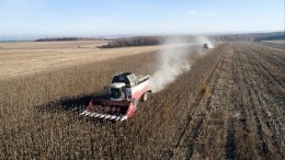 Власти Херсонской области начали экспортировать зерно в Россию