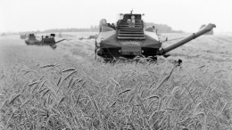 Bloomberg: санкции против РФ оказались неэффективными и спровоцировали мировой голод