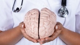 Неврологи назвали пять заблуждений о человеческом мозге