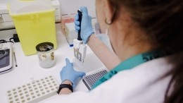 Мурашко: в России начали тестировать новую вакцину против оспы