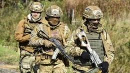 Военный эксперт Литовкин об отправке боевиков теробороны на фронт: «Пушечное мясо»