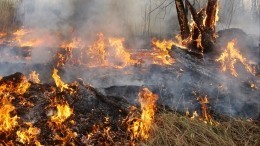 Стрельба по облакам: как в Якутии борются с лесными пожарами