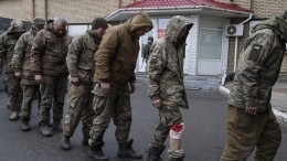 В ЛНР рассказали об оперативной работе со сдавшимися военными с «Азота»