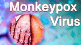 Тихо-смирно: ученые предупредили о бессимптомной оспе обезьян